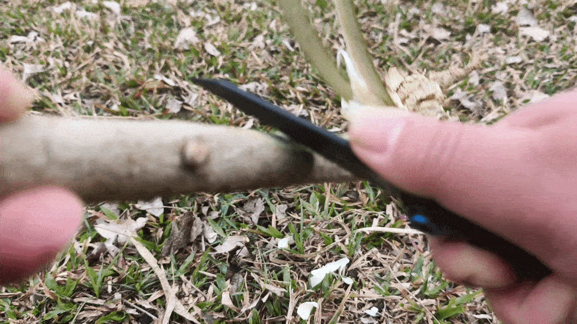 削木头(1)_compressed.gif
