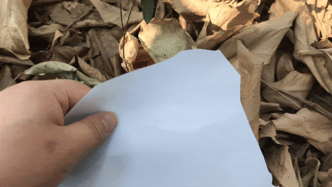 削纸_compressed.gif