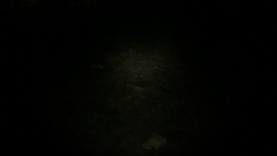 15-g2.gif