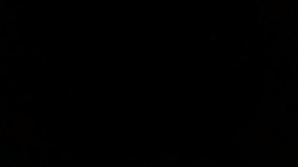19-g3.gif