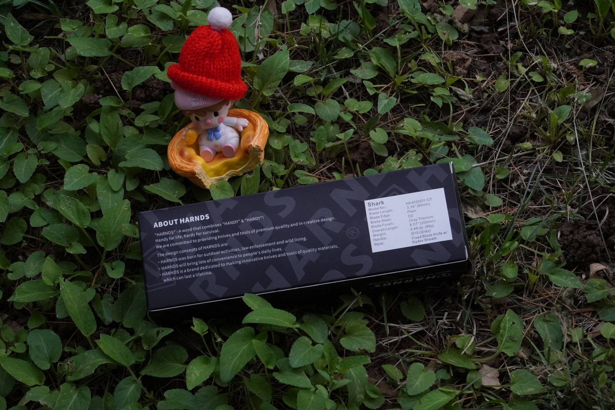 DSC03471.JPG